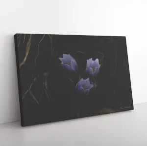 Flower Canvas by Maria Borkoswki